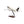High Flying Models Aircraft Models Boeing 737-800 Alaska Airlines Large Mahogany Model