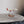High Flying Models Aircraft Models Boeing 787-9 Virgin Atlantic Birthday Girl Large Mahogany Model