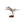 High Flying Models Aircraft Models Grumman F-14A Tomcat VF-84 Jolly Rogers Large Mahogany Model