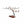 Lockheed L-1649 Starliner® TWA (Trans World Airlines) Large Mahogany Model